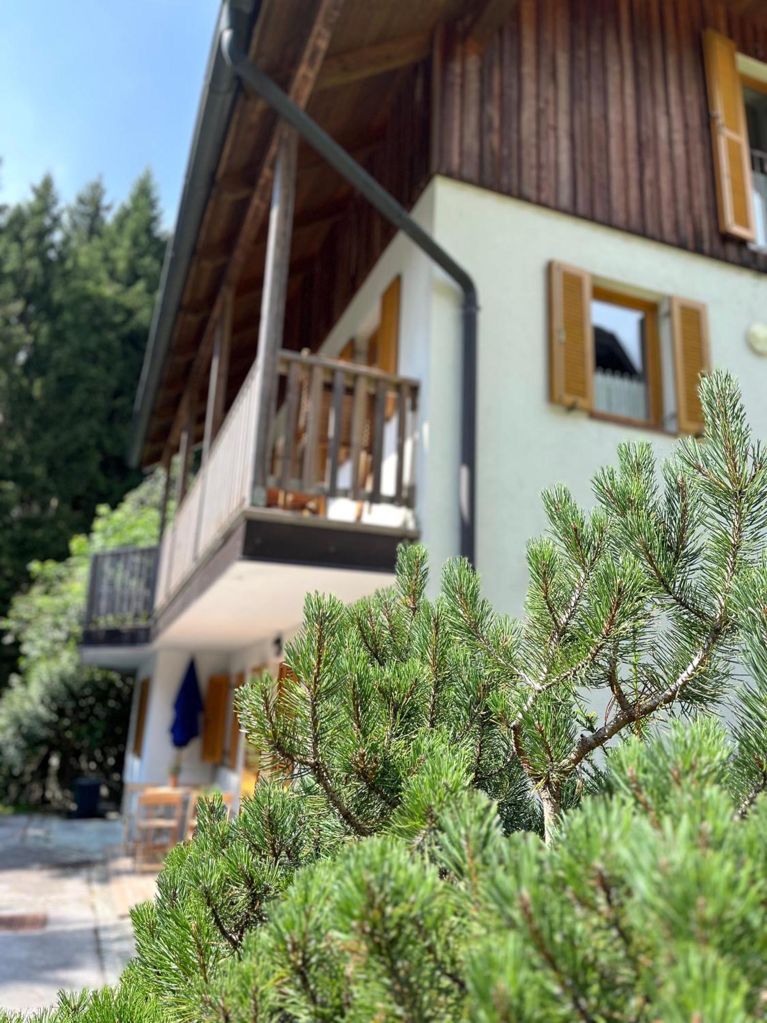 Chalet Harmony Rogla - Apartment Zreče Exterior foto